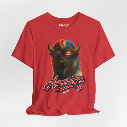 Patriotic Buffalo 4th of July t-shirt