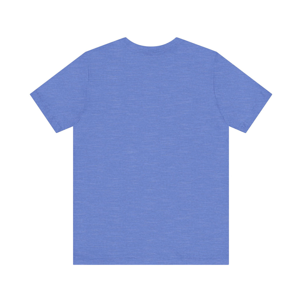 Vintage Falcon Bird Lover t-shirt