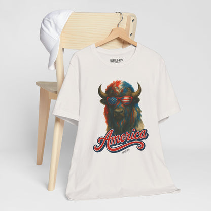 Patriotic Buffalo 4th of July t-shirt
